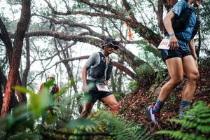 BIB: 
                            <button type="button" onclick="openModal(26296734)" class="btn btn-primary btn-sm float-right btn-popup" data-toggle="modal" data-target=".modal-high-quality">
                        <i class="fas fa-shopping-cart"></i> Add to Cart
                    </button>
                                            <button type="button" onclick="isThisMe(26296734, true)" class="btn btn-success btn-sm float-right btn-popup btn-isme hidden" data-toggle="tooltip" data-placement="bottom" title="นี่คือรูปของคุณใช่ไหม คลิกที่นี่เพื่อเอาเข้าอัลบั้ม">
                        <i class="fas fa-plus"></i> Add to album
                    </button>
                    <button type="button" onclick="isThisMe(26296734, false)" class="btn btn-warning btn-sm float-right btn-popup btn-isnotme hidden">
                        <i class="fas fa-ban"></i> Remove from album
                    </button>